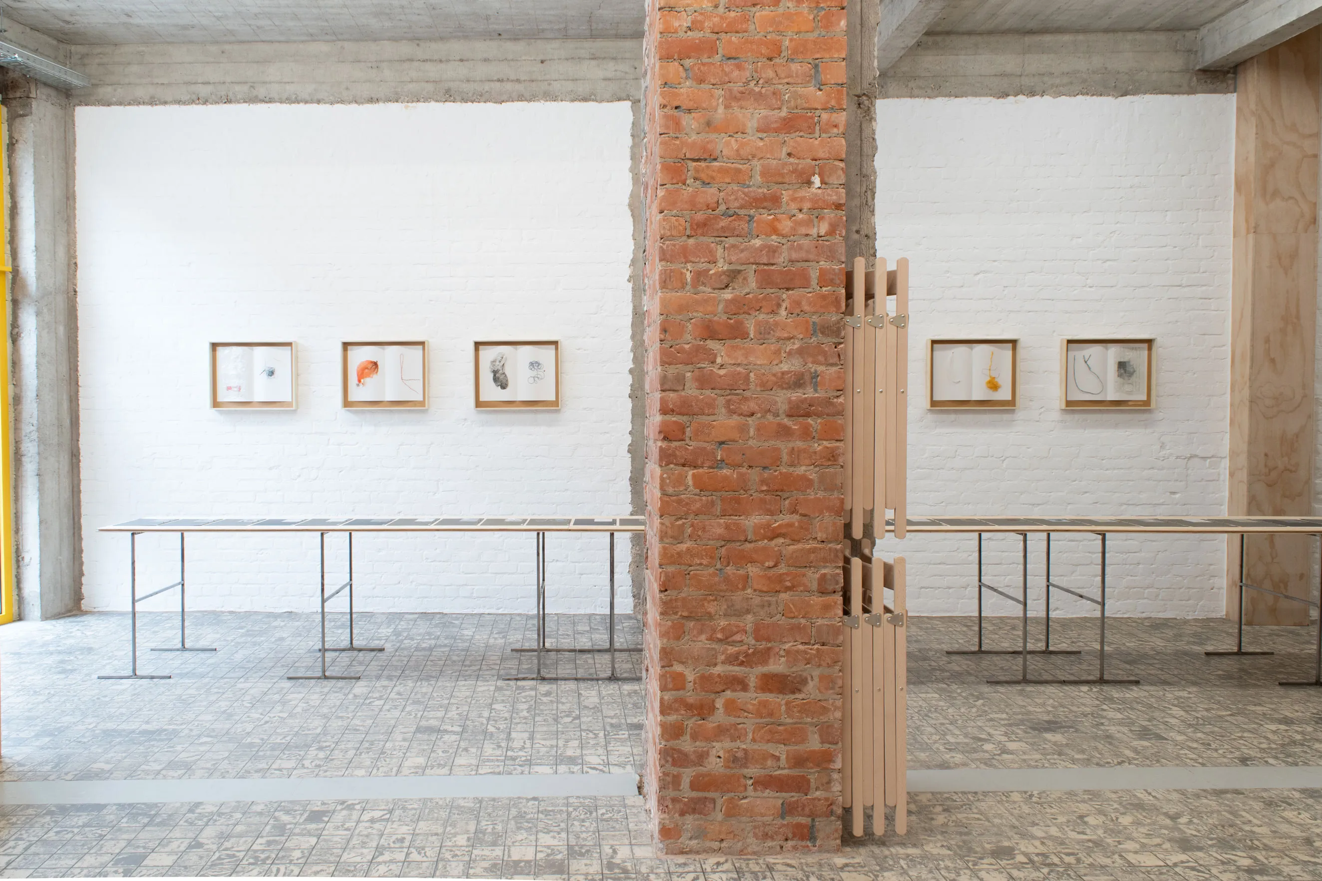 herbarium:algæ — installation view 13